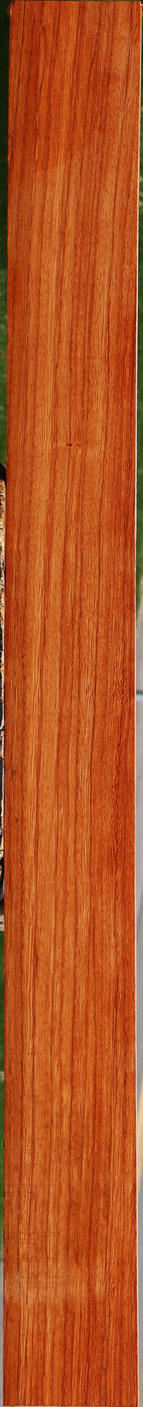 Ebiara Lumber