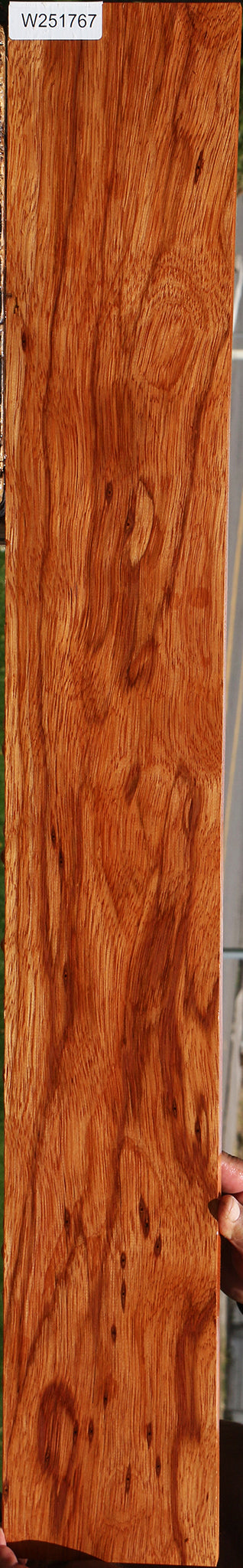 Ebiara Lumber