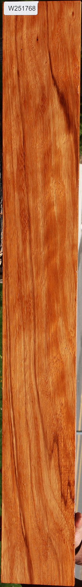 Ebiara Lumber