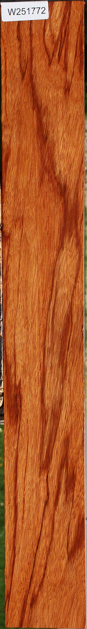 Ebiara Lumber