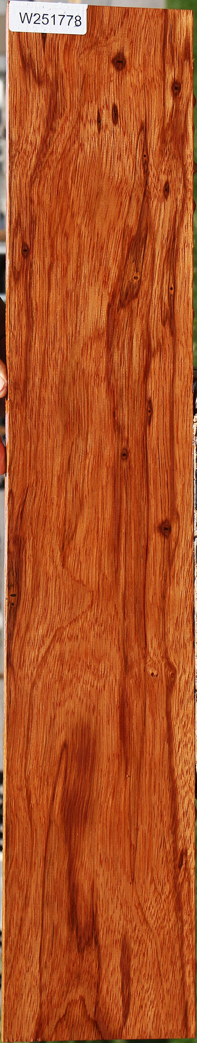 Ebiara Lumber