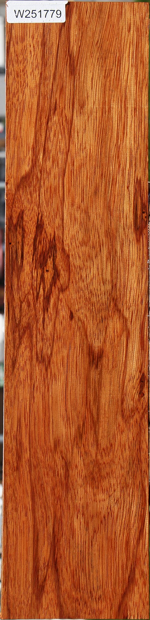 Ebiara Lumber