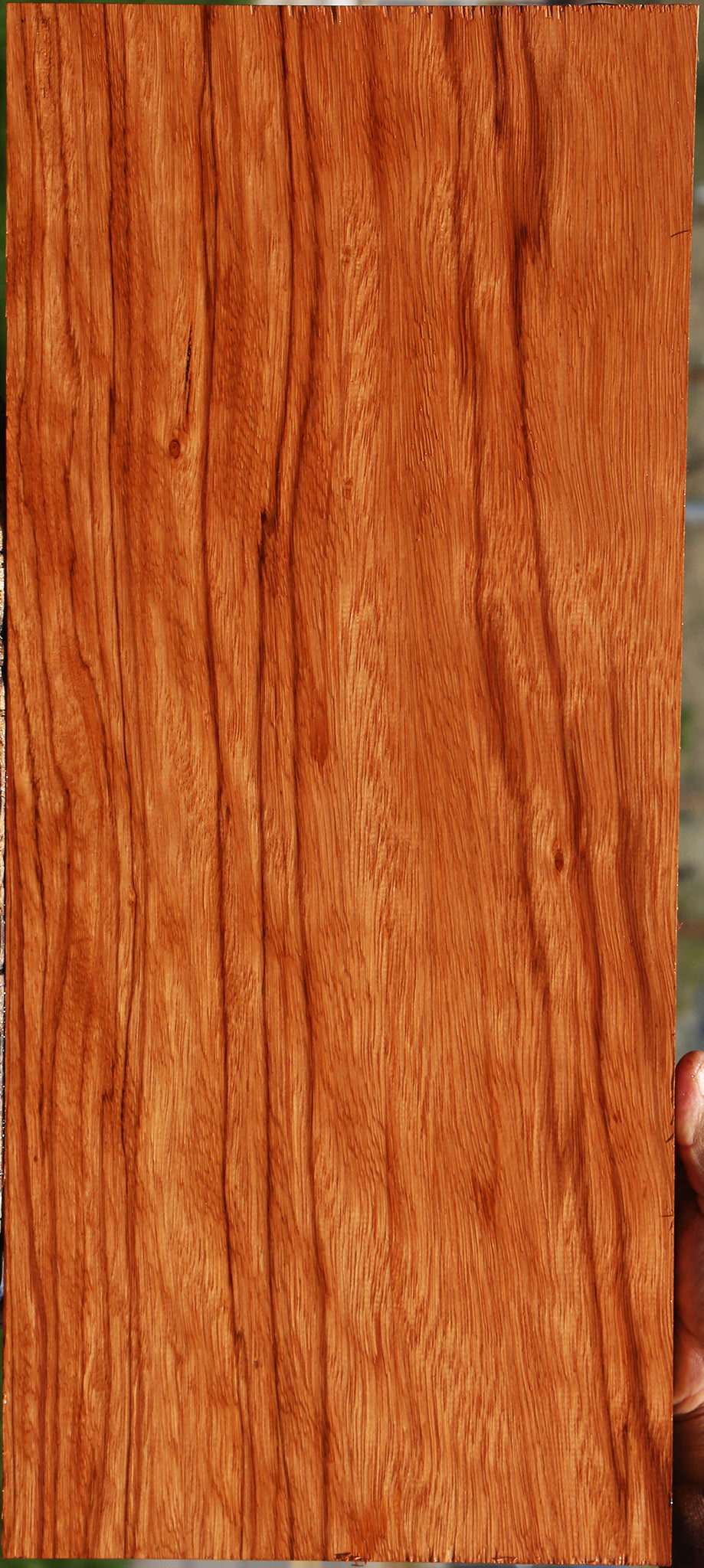 Ebiara Lumber