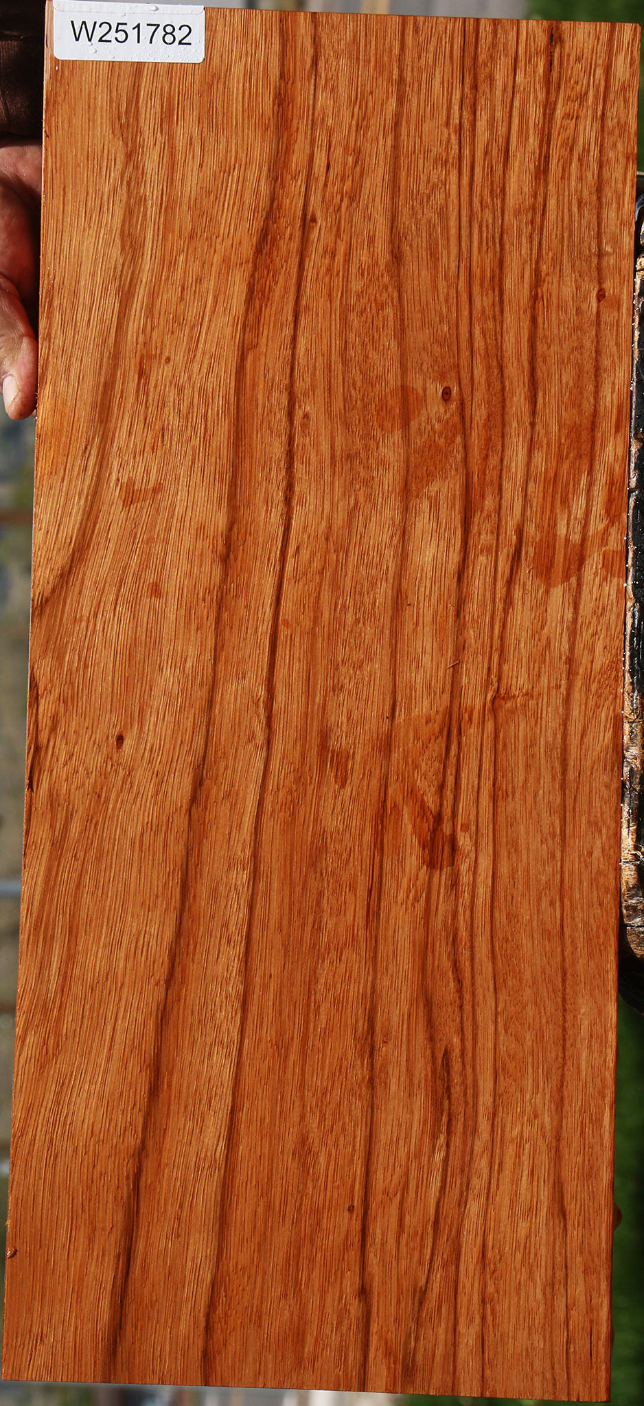 Ebiara Lumber
