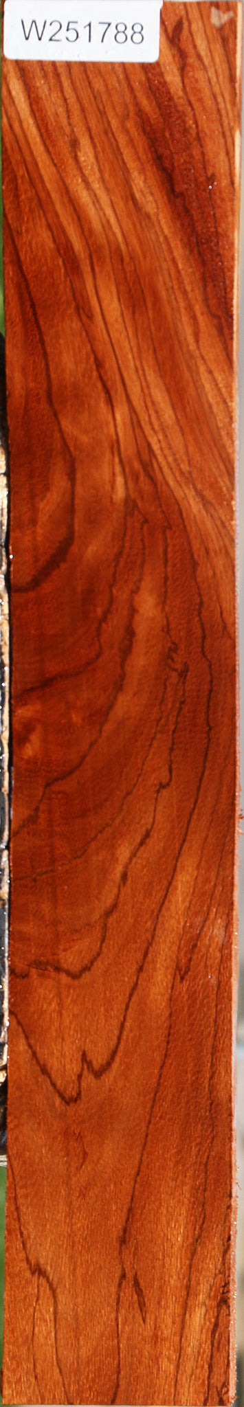 Ebiara Lumber