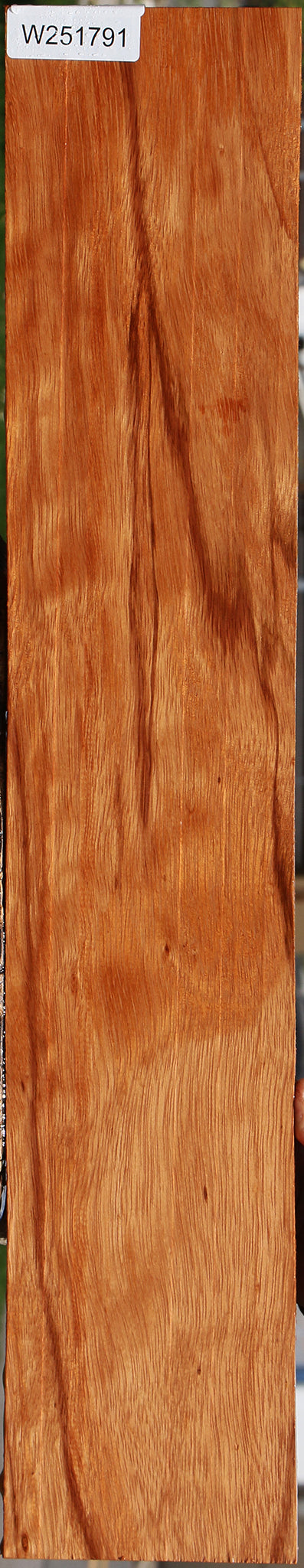Ebiara Micro Lumber