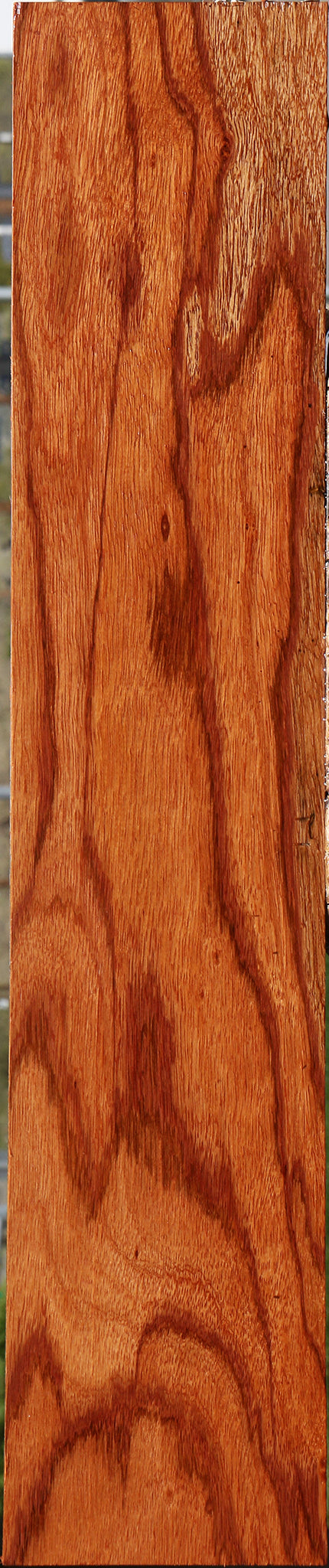 Ebiara Lumber