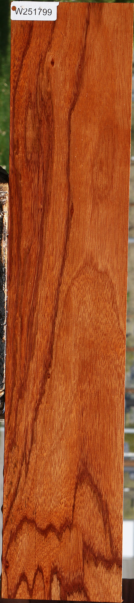 Ebiara Lumber