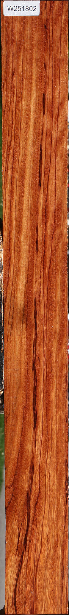 Ebiara Lumber