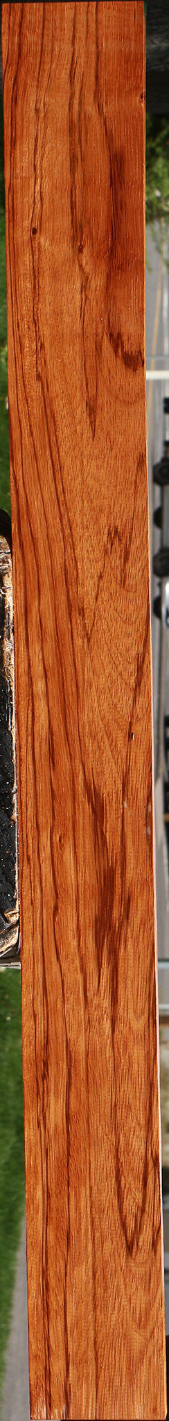 Ebiara Lumber