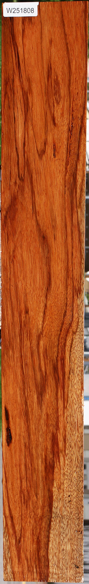 Ebiara Lumber