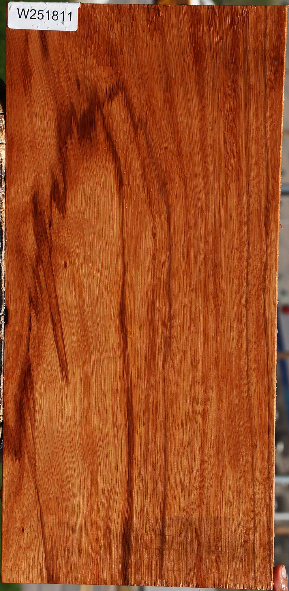 Ebiara Lumber