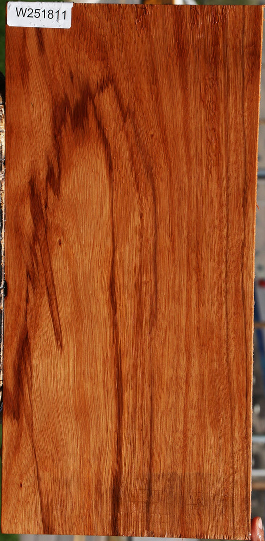 Ebiara Lumber