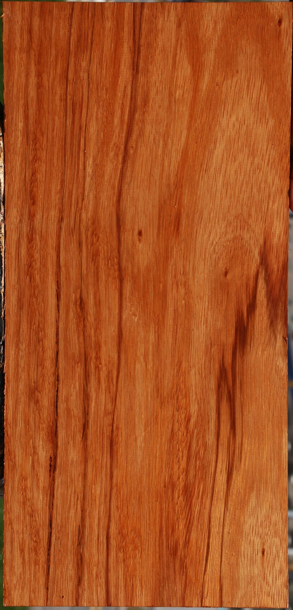 Ebiara Lumber
