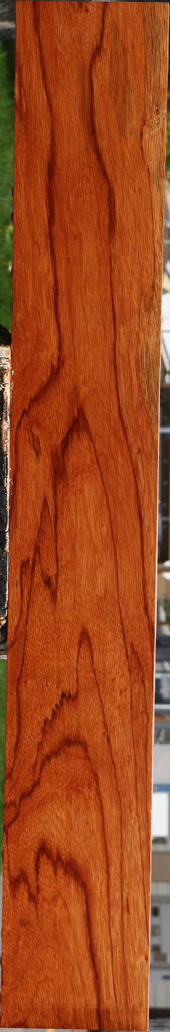 Ebiara Lumber