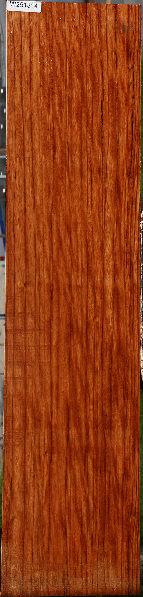 Extra Fancy Ebiara Lumber