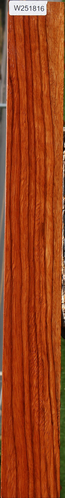 Ebiara Lumber