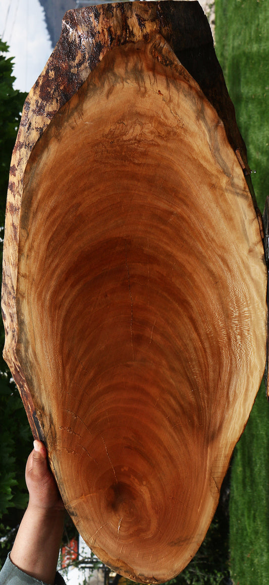 Sycamore Live Edge Mini Slab