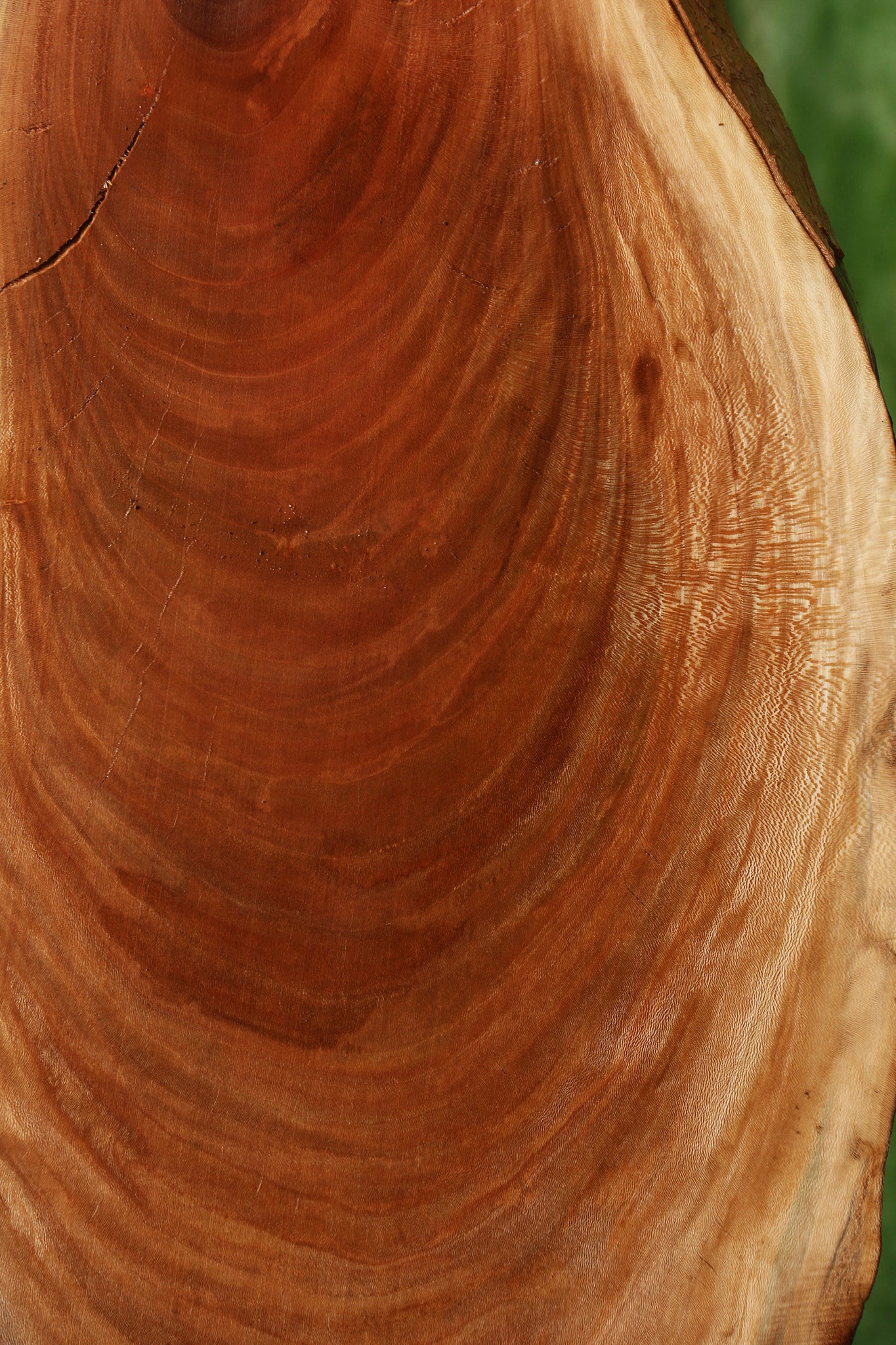 Sycamore Live Edge Mini Slab
