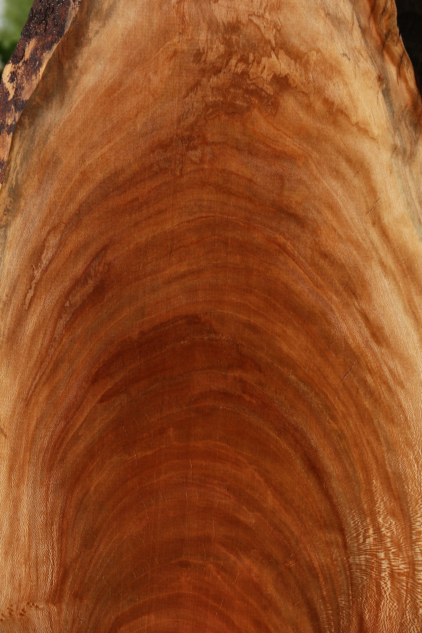 Sycamore Live Edge Mini Slab
