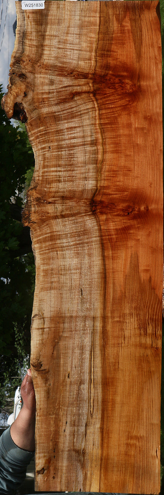 Extra Fancy Quartersawn Redwood Live Edge Mini Slab