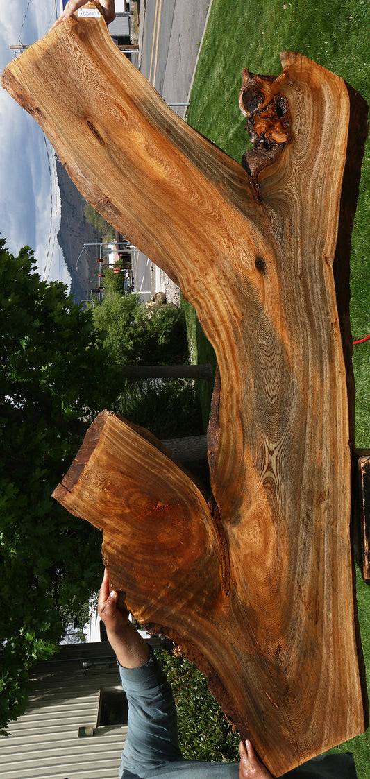 Hackberry Live Edge Slab