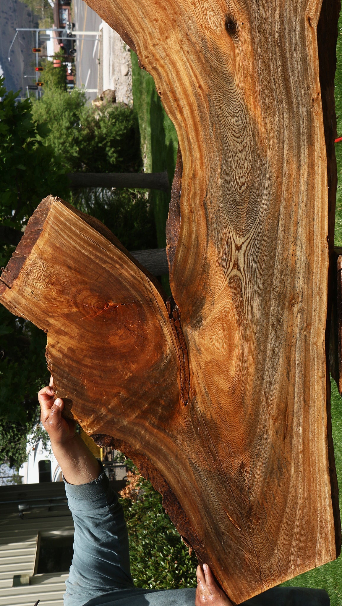 Hackberry Live Edge Slab