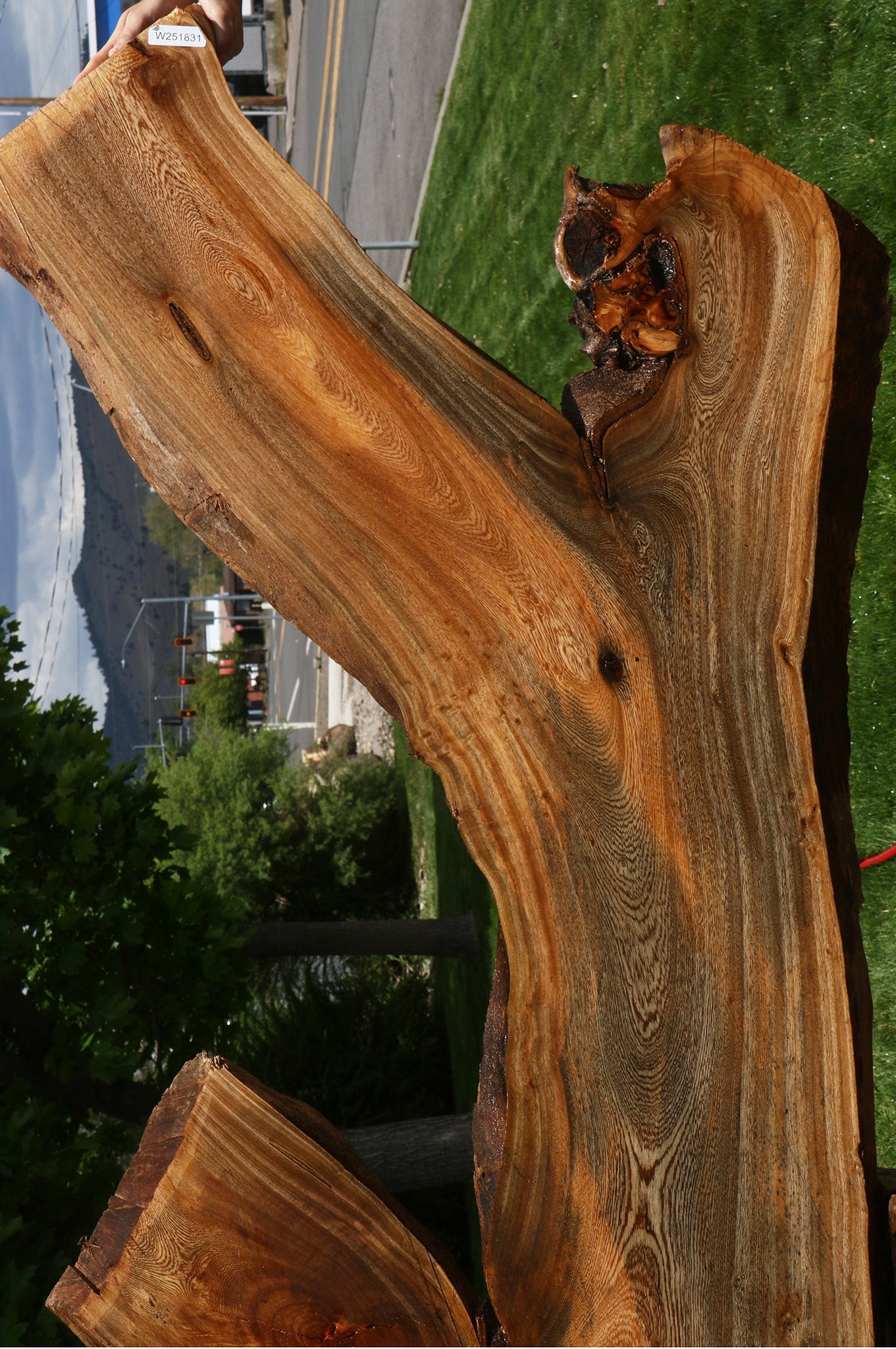 Hackberry Live Edge Slab