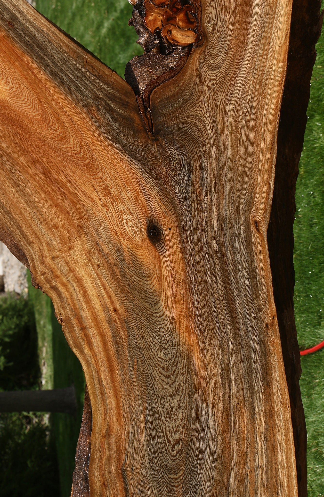 Hackberry Live Edge Slab
