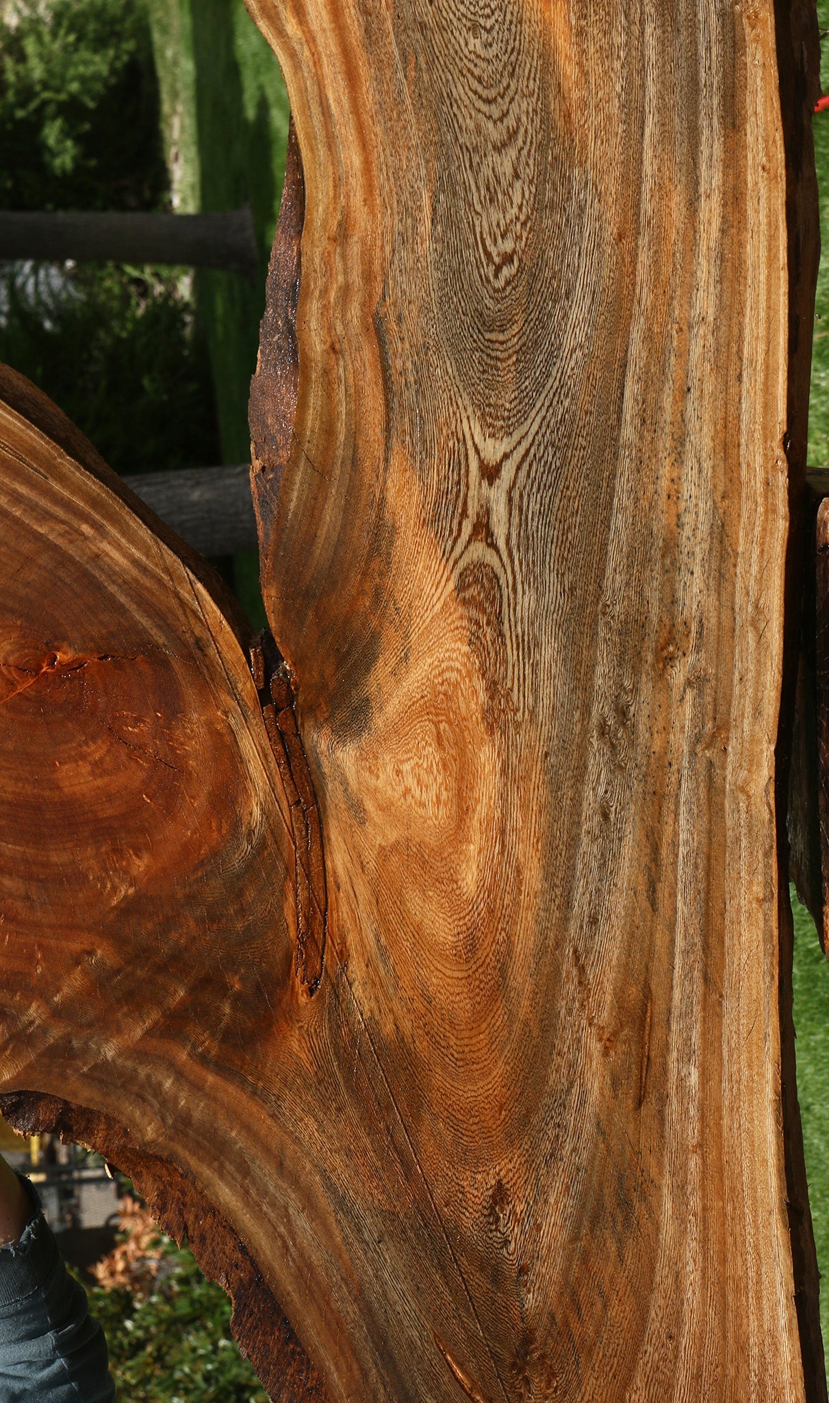 Hackberry Live Edge Slab