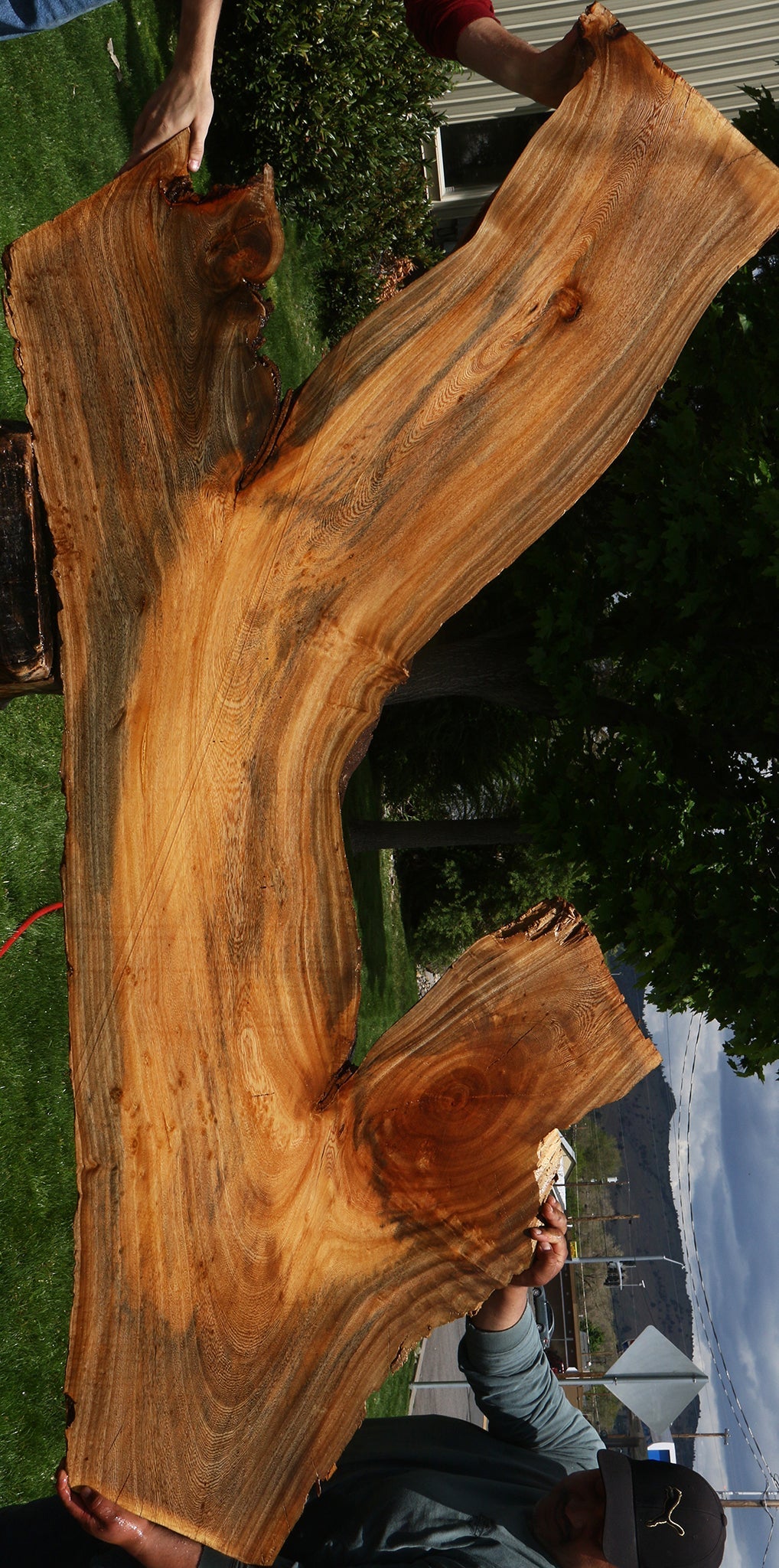 Hackberry Live Edge Slab
