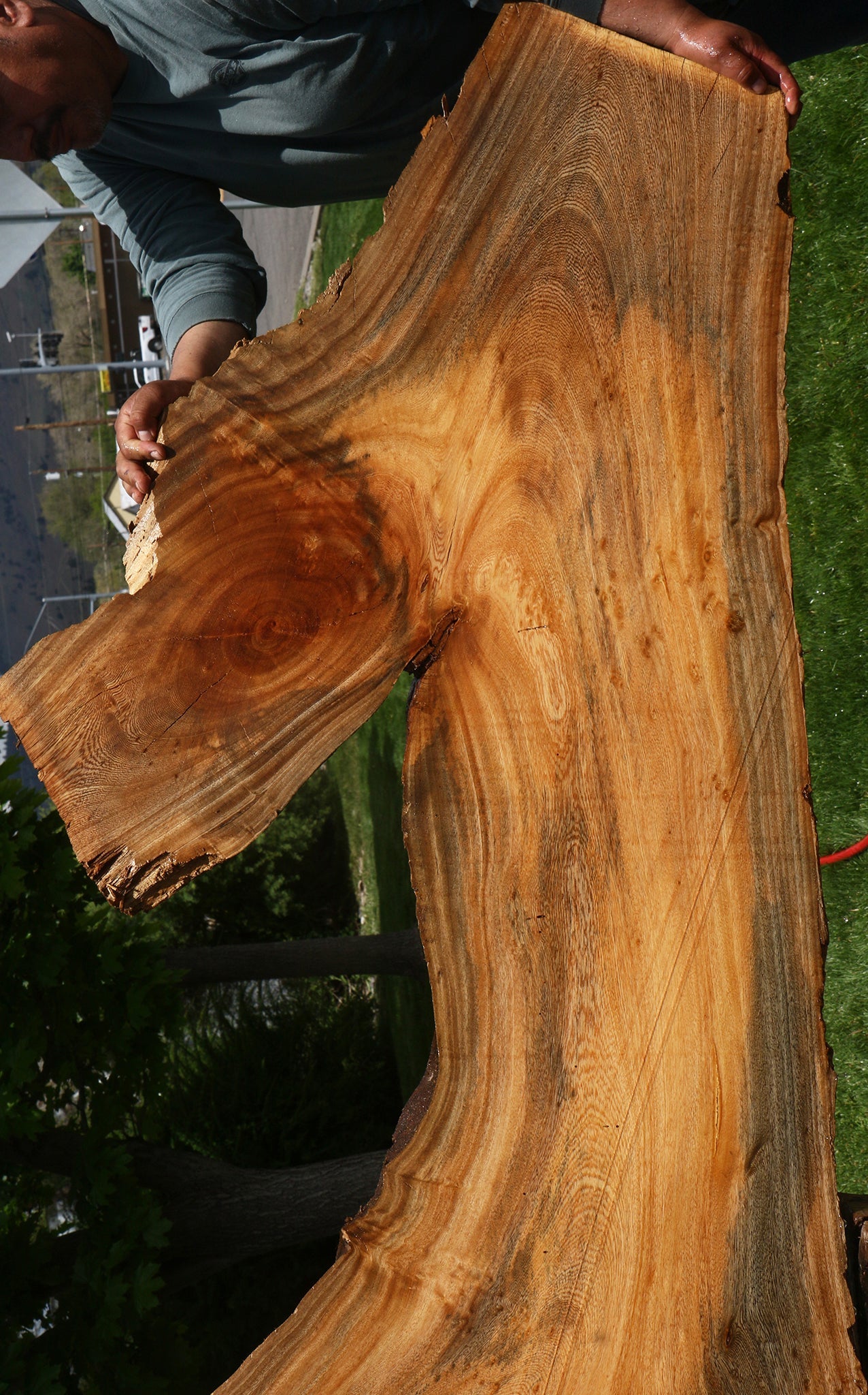 Hackberry Live Edge Slab
