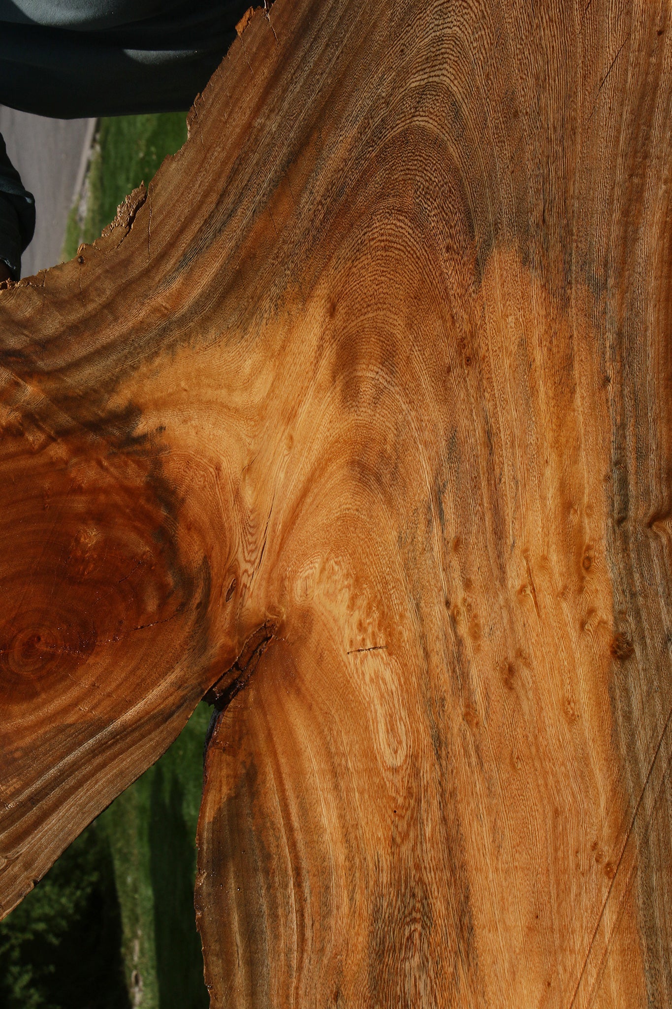 Hackberry Live Edge Slab