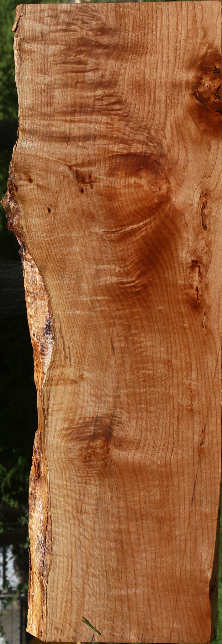 Extra Fancy Maple Live Edge Mini Slab