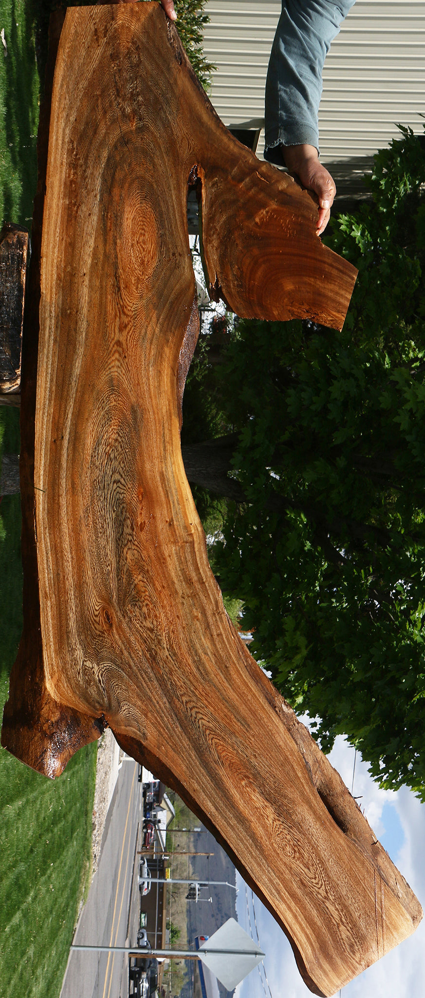 Hackberry Live Edge Slab