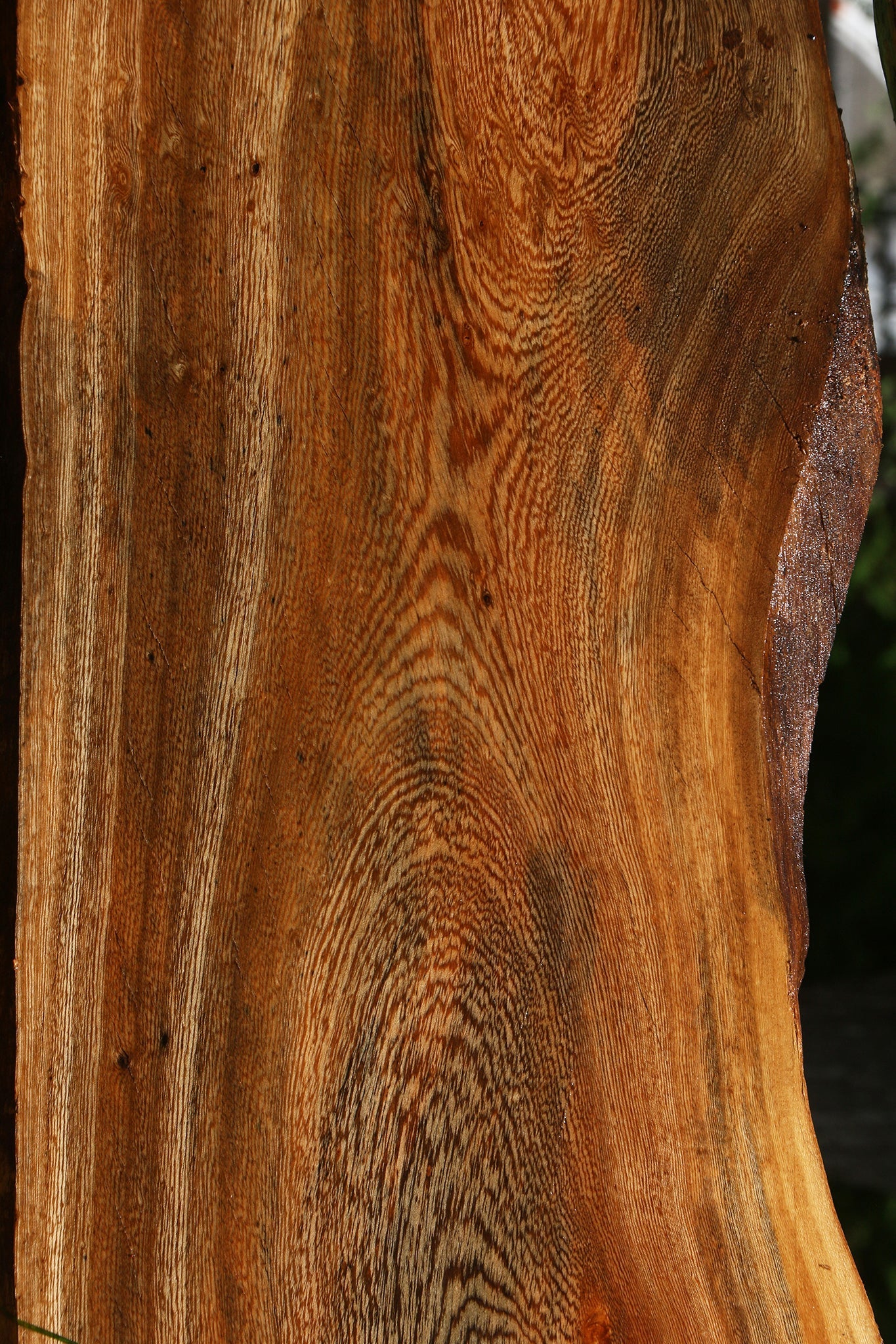 Hackberry Live Edge Slab