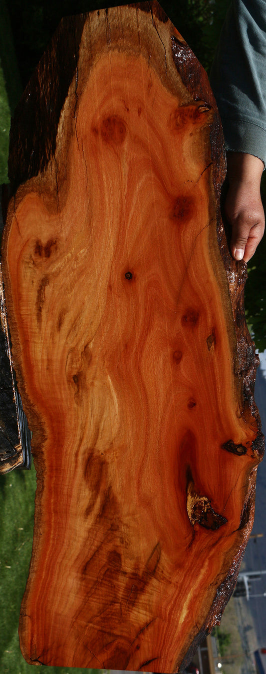 Rustic Red Ironbark Live Edge Mini Slab