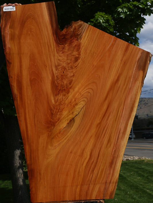 Hackberry Live Edge Mini Slab