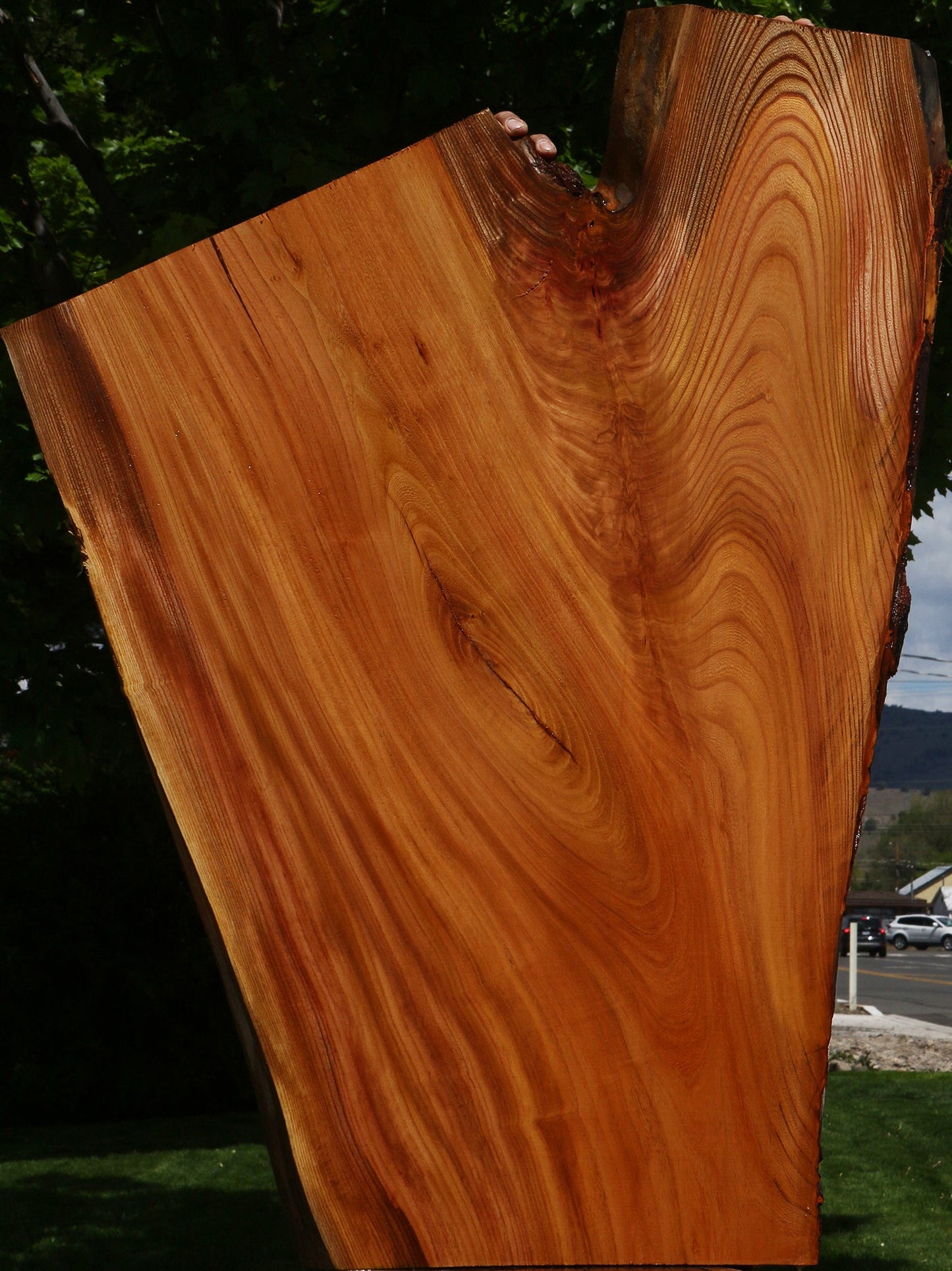 Hackberry Live Edge Mini Slab