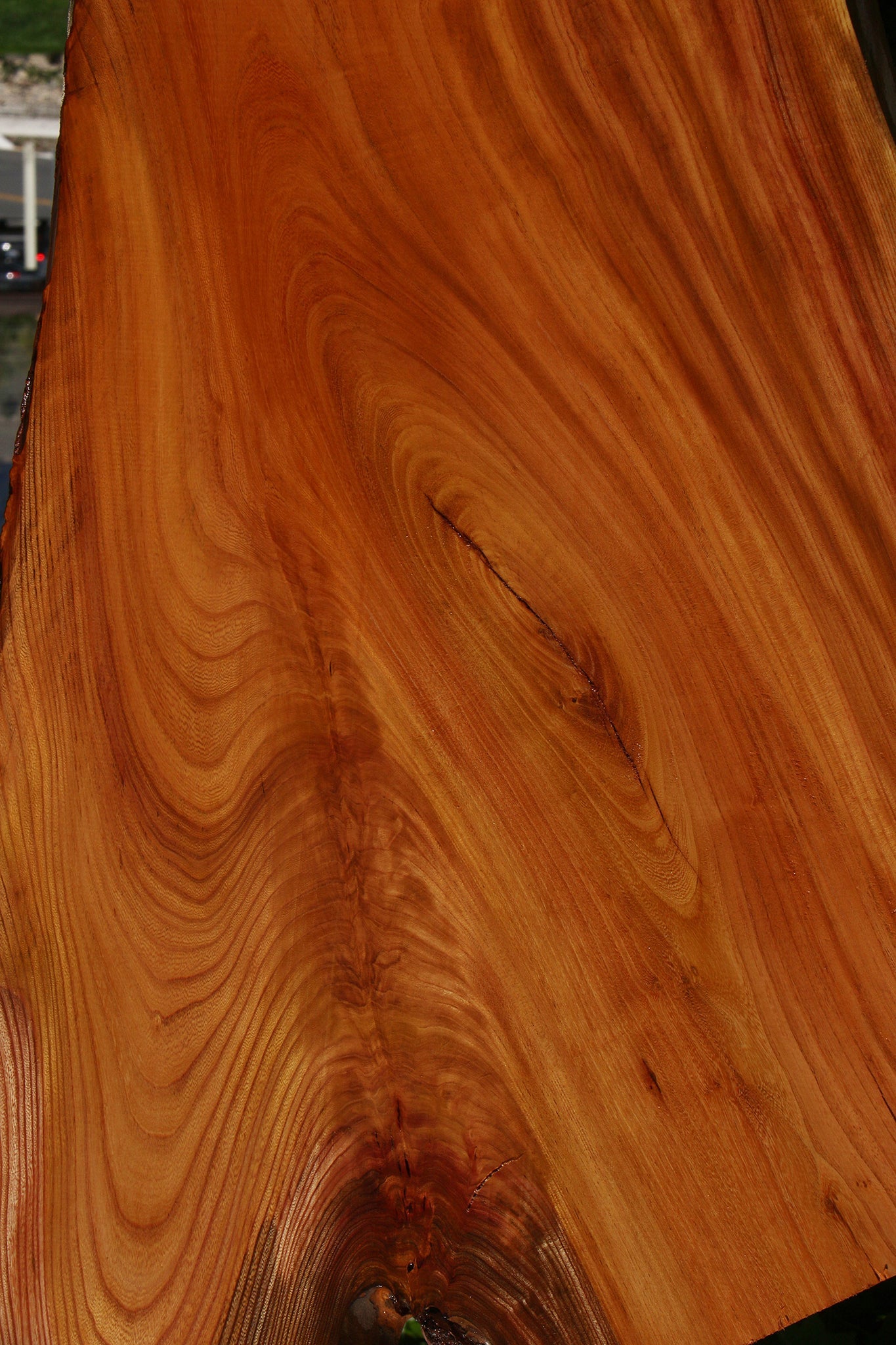 Hackberry Live Edge Mini Slab