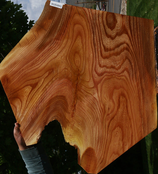 Hackberry Live Edge Mini Slab