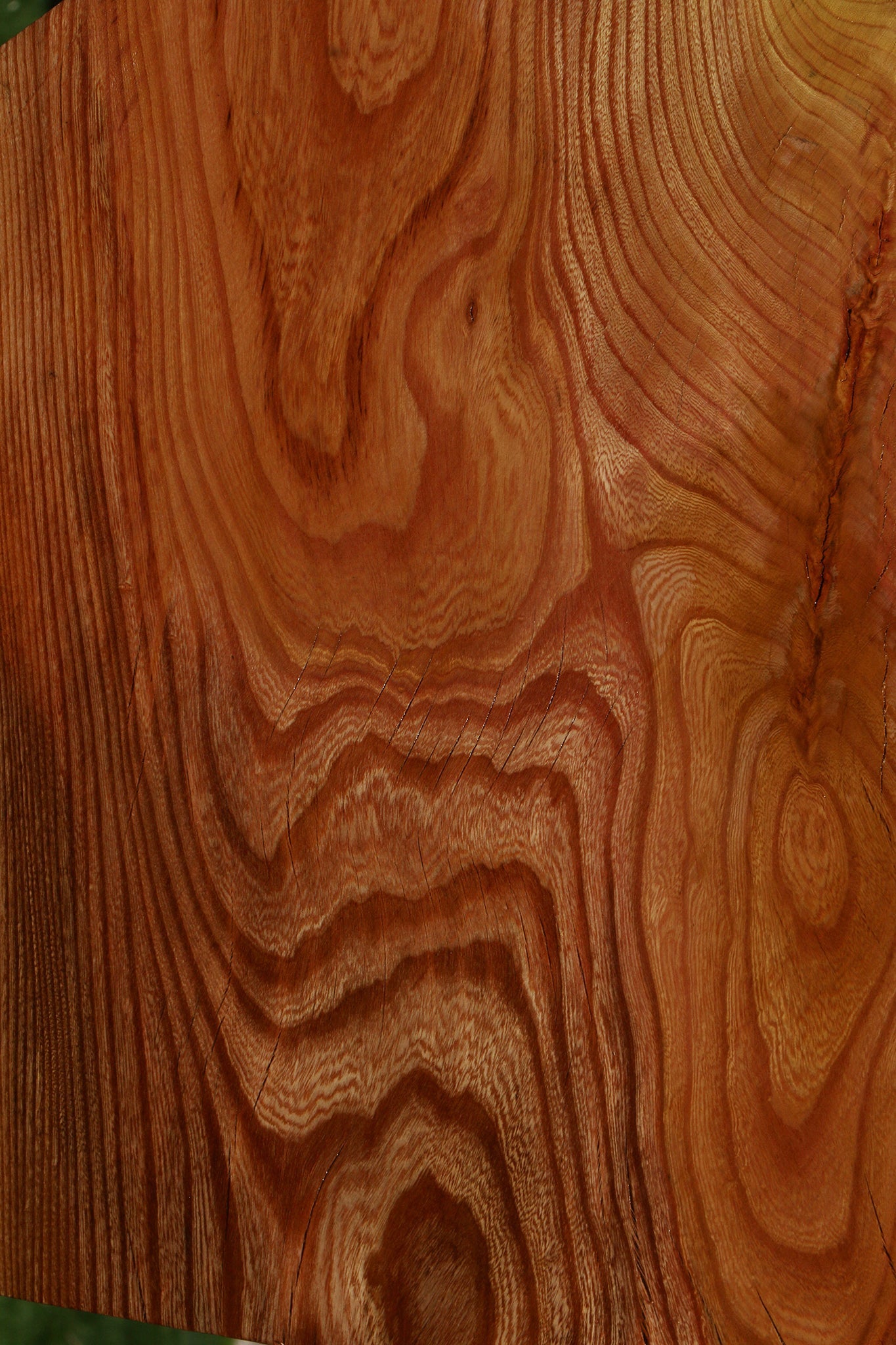 Hackberry Live Edge Mini Slab