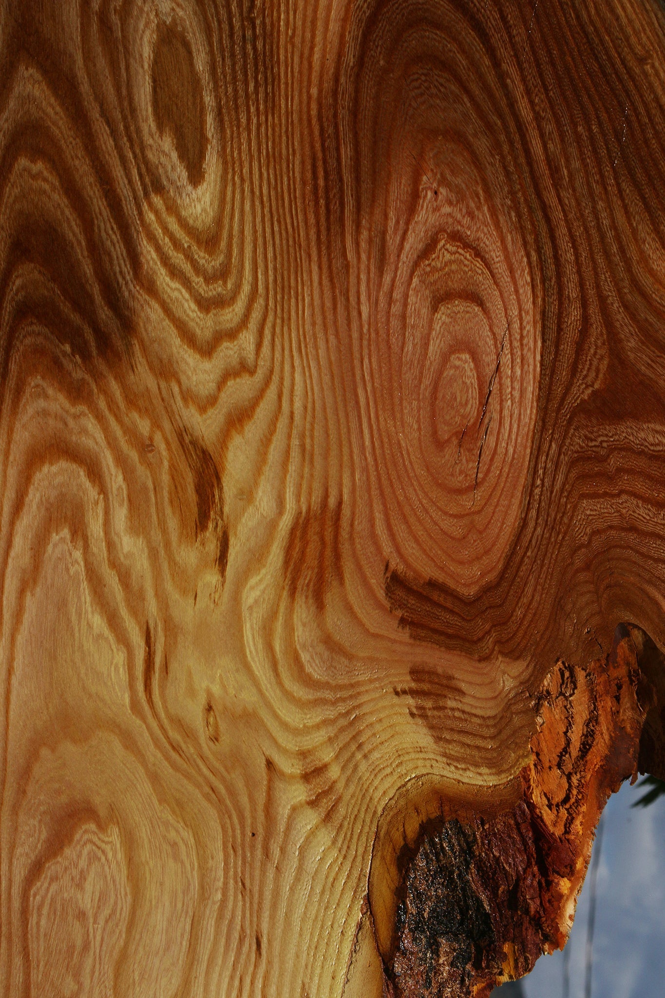 Hackberry Live Edge Mini Slab
