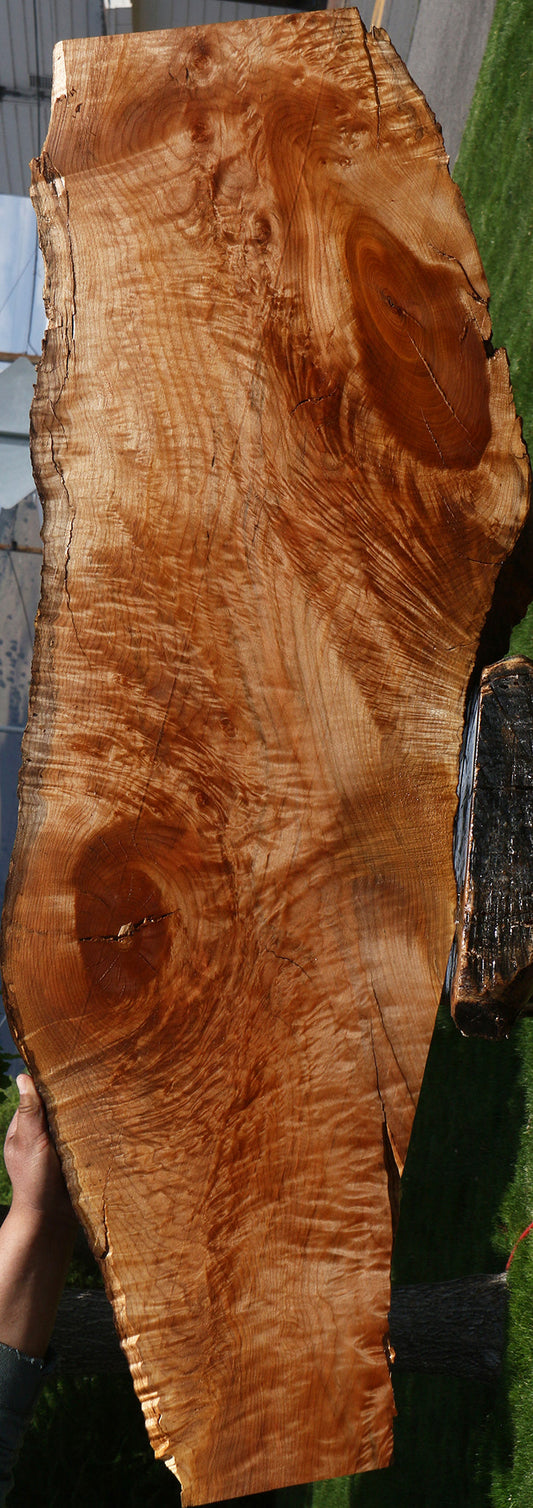 Extra Fancy Rustic Maple Live Edge Mini Slab