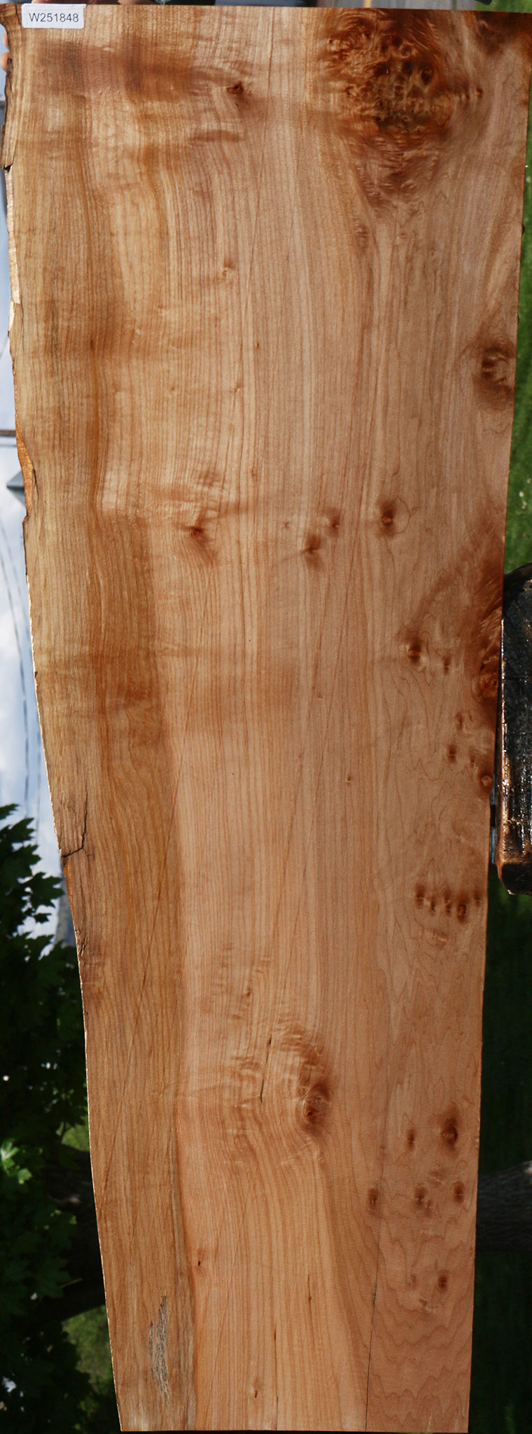 Figured Maple Live Edge Slab