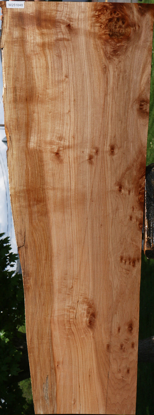 Figured Maple Live Edge Slab
