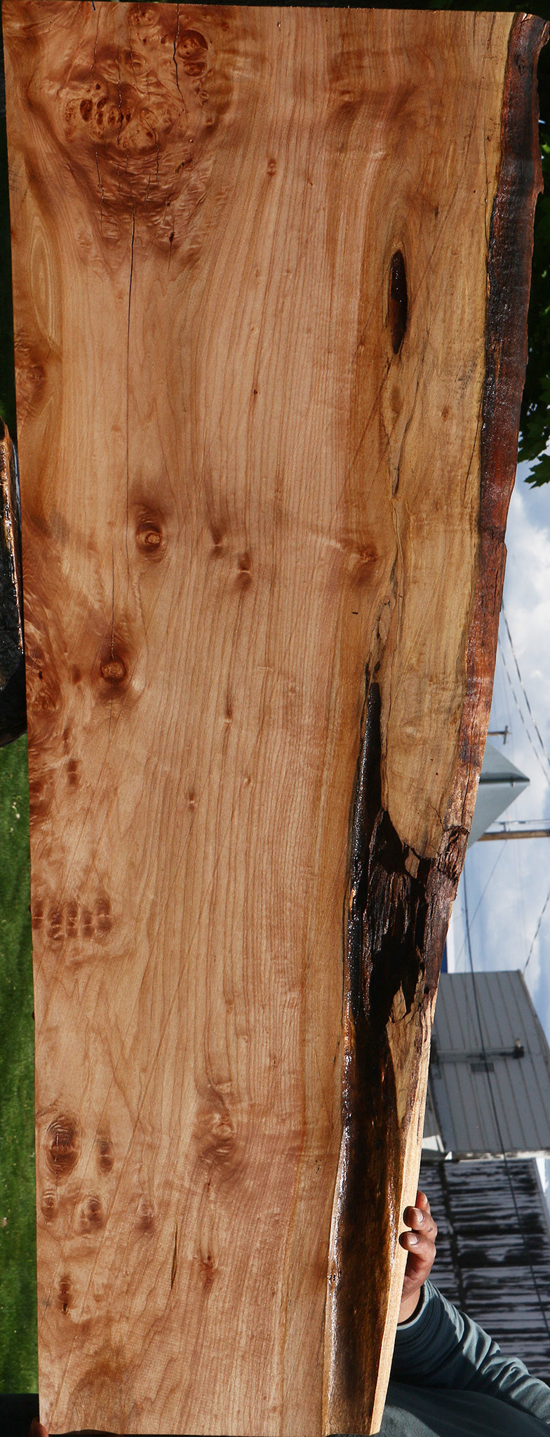 Figured Maple Live Edge Slab