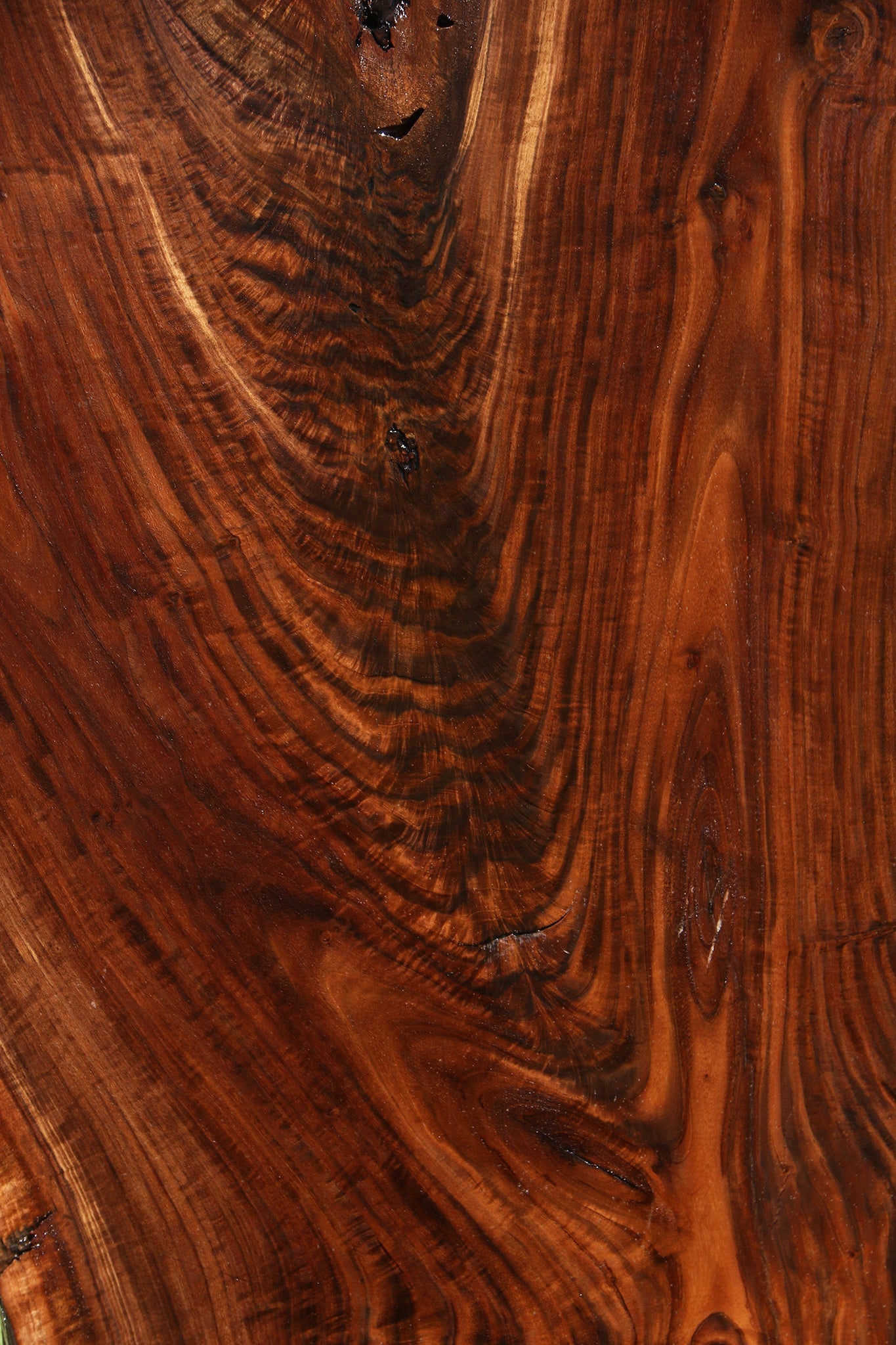 Extra Fancy Claro Walnut Live Edge Slab (Free Shipping Excluded)