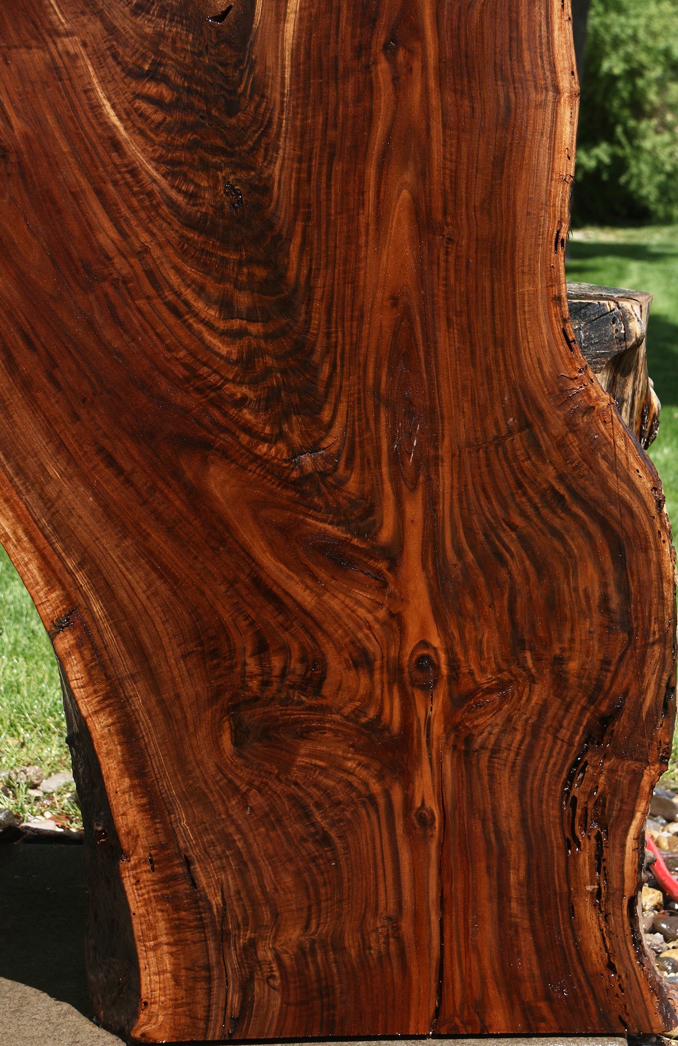 Extra Fancy Claro Walnut Live Edge Slab (Free Shipping Excluded)