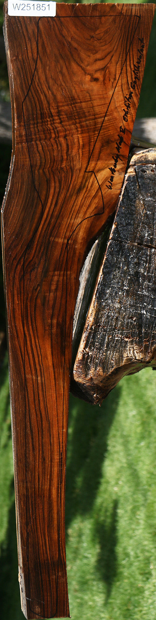 Exhibition English Walnut Gun Blank